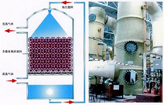 工業(yè)除臭設(shè)備|車間除臭除味方法 